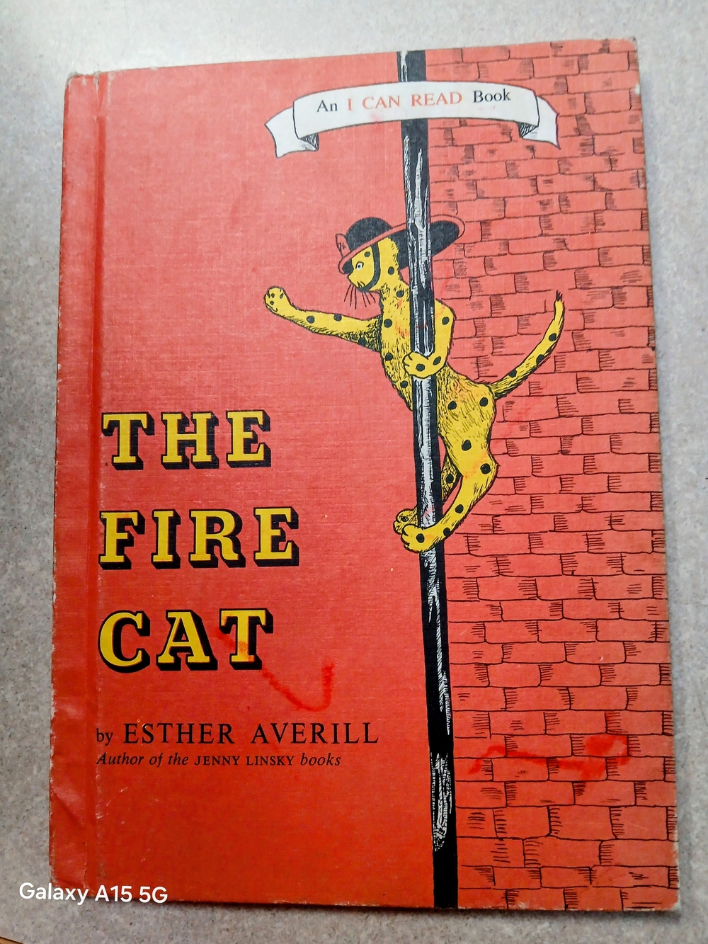 The Fire Cat - Red & Yellow Cat Children's Book by